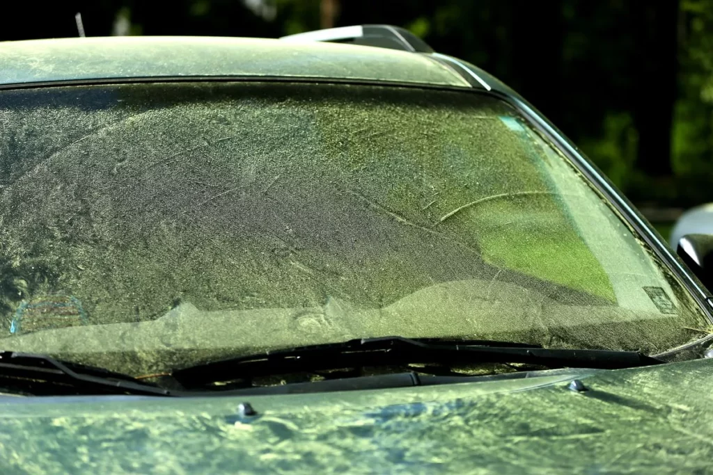 pollen on car